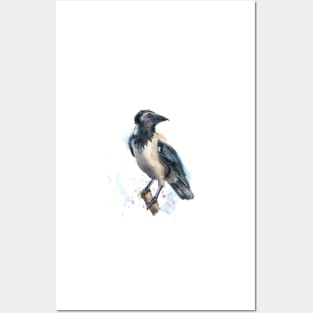 Crow - watercolor art Posters and Art